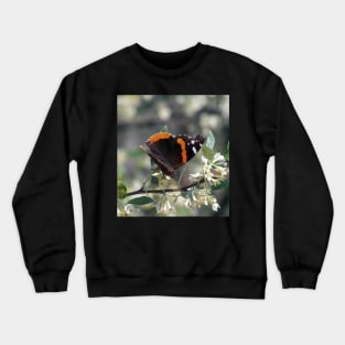 Orange and Black Butterfly with white spots Crewneck Sweatshirt